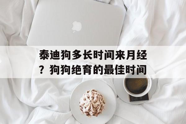 泰迪狗多长时间来月经？狗狗绝育的最佳时间-第1张图片-