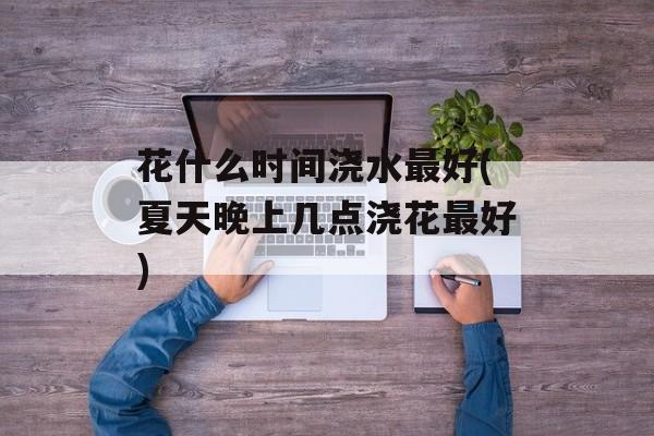 花什么时间浇水最好(夏天晚上几点浇花最好)-第1张图片-