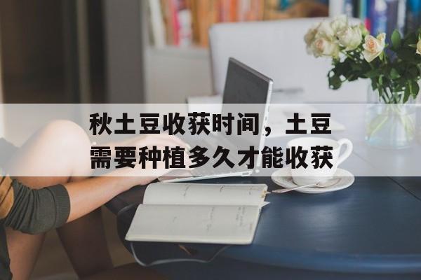 秋土豆收获时间，土豆需要种植多久才能收获-第1张图片-