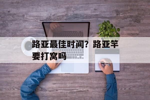 路亚最佳时间？路亚竿要打窝吗-第1张图片-