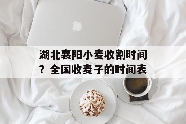 湖北襄阳小麦收割时间？全国收麦子的时间表-第1张图片-