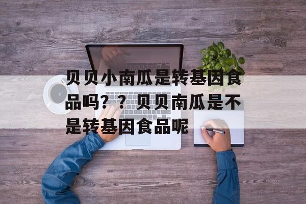 贝贝小南瓜是转基因食品吗？？贝贝南瓜是不是转基因食品呢-第1张图片-