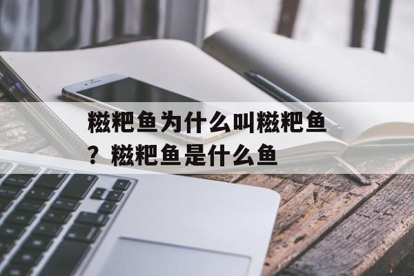 糍粑鱼为什么叫糍粑鱼？糍粑鱼是什么鱼-第1张图片-