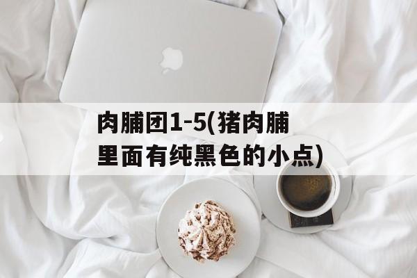 肉脯团1-5(猪肉脯里面有纯黑色的小点)-第1张图片-