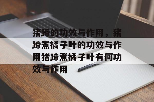 猪蹄的功效与作用，猪蹄煮橘子叶的功效与作用猪蹄煮橘子叶有何功效与作用-第1张图片-