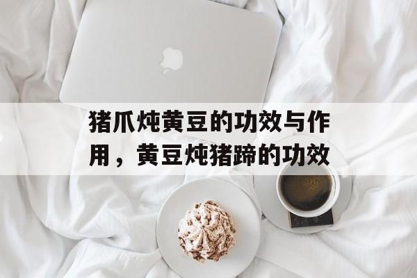 猪爪炖黄豆的功效与作用，黄豆炖猪蹄的功效-第1张图片-