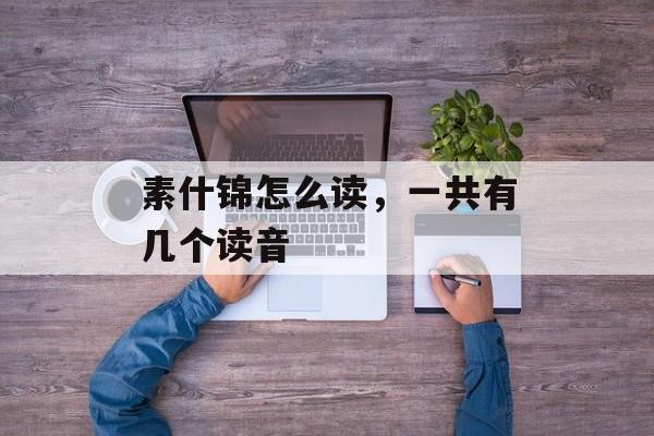 素什锦怎么读，一共有几个读音-第1张图片-