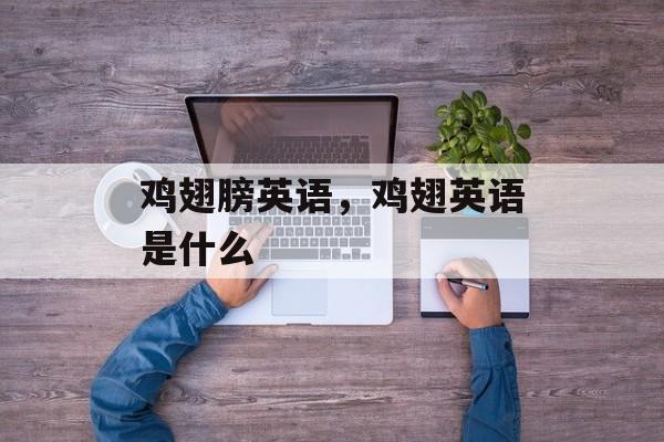 鸡翅膀英语，鸡翅英语是什么-第1张图片-