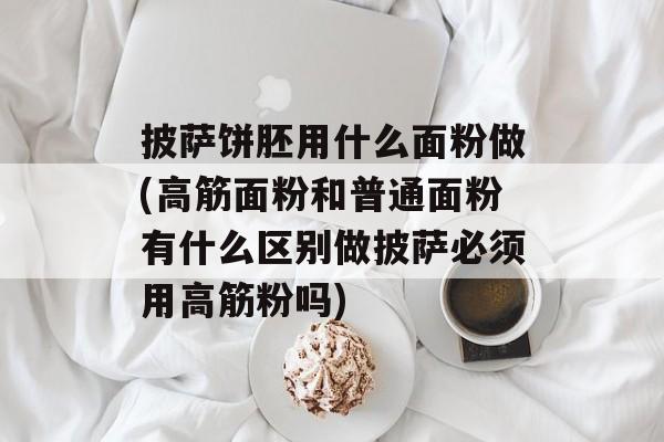 披萨饼胚用什么面粉做(高筋面粉和普通面粉有什么区别做披萨必须用高筋粉吗)-第1张图片-