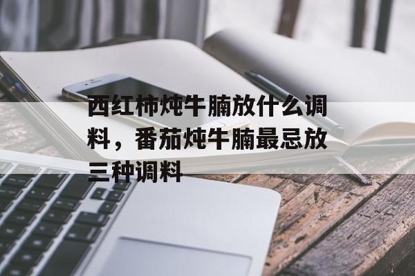 西红柿炖牛腩放什么调料，番茄炖牛腩最忌放三种调料-第1张图片-