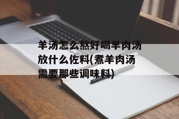 羊汤怎么熬好喝羊肉汤放什么佐料(煮羊肉汤需要那些调味料)-第1张图片-