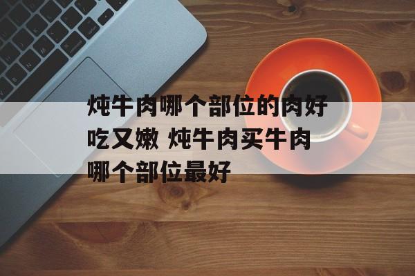 炖牛肉哪个部位的肉好吃又嫩 炖牛肉买牛肉哪个部位最好-第1张图片-