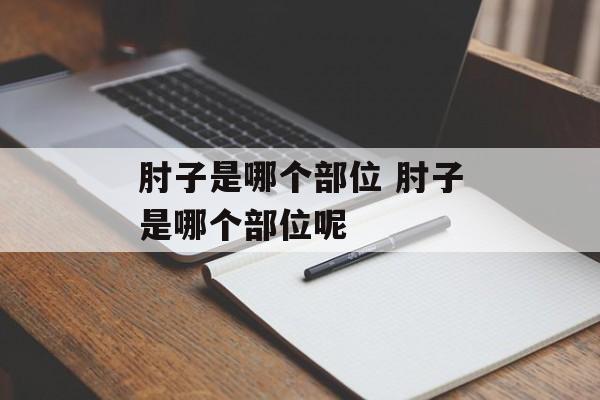 肘子是哪个部位 肘子是哪个部位呢-第1张图片-
