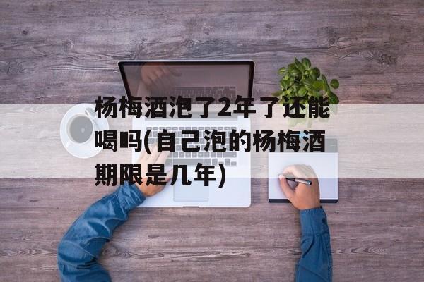 杨梅酒泡了2年了还能喝吗(自己泡的杨梅酒期限是几年)-第1张图片-