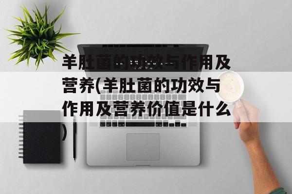 羊肚菌的功效与作用及营养(羊肚菌的功效与作用及营养价值是什么)-第1张图片-