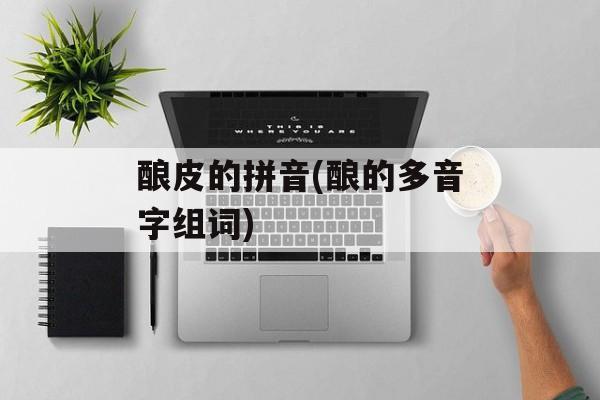 酿皮的拼音(酿的多音字组词)-第1张图片-