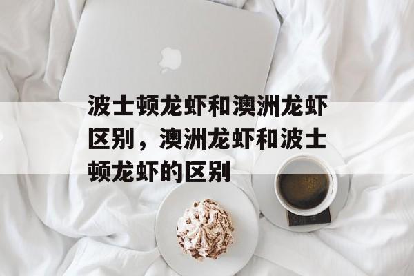 波士顿龙虾和澳洲龙虾区别，澳洲龙虾和波士顿龙虾的区别-第1张图片-