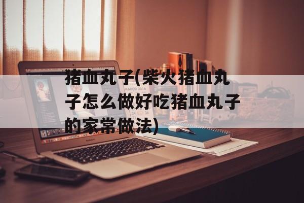 猪血丸子(柴火猪血丸子怎么做好吃猪血丸子的家常做法)-第1张图片-