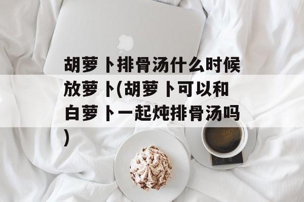 胡萝卜排骨汤什么时候放萝卜(胡萝卜可以和白萝卜一起炖排骨汤吗)-第1张图片-