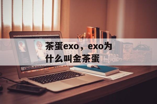 茶蛋exo，exo为什么叫金茶蛋-第1张图片-