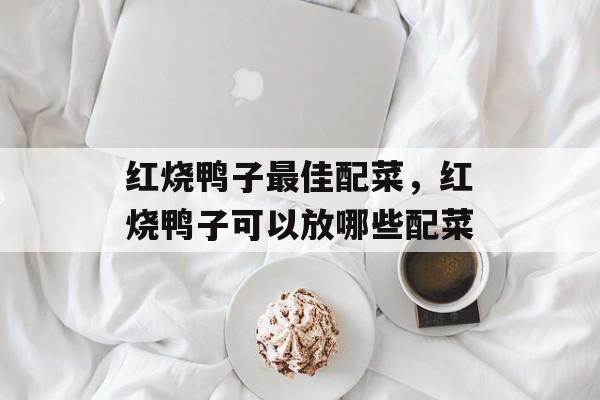 红烧鸭子最佳配菜，红烧鸭子可以放哪些配菜-第1张图片-