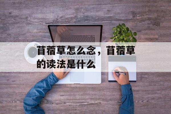 苜蓿草怎么念，苜蓿草的读法是什么-第1张图片-