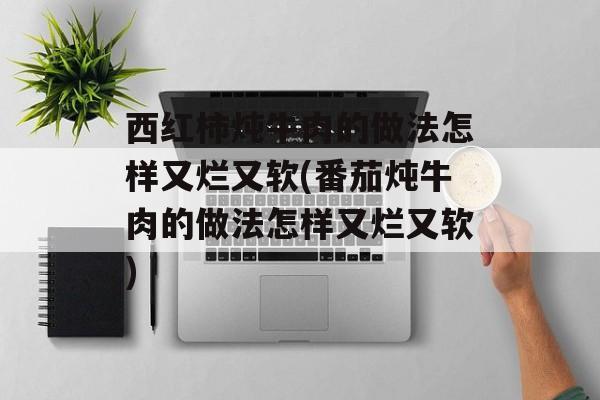 西红柿炖牛肉的做法怎样又烂又软(番茄炖牛肉的做法怎样又烂又软)-第1张图片-