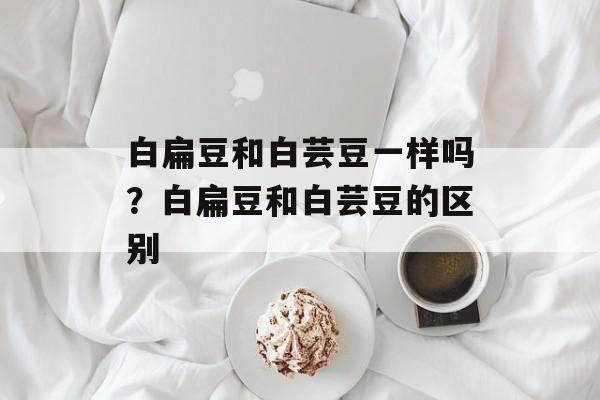 白扁豆和白芸豆一样吗？白扁豆和白芸豆的区别-第1张图片-
