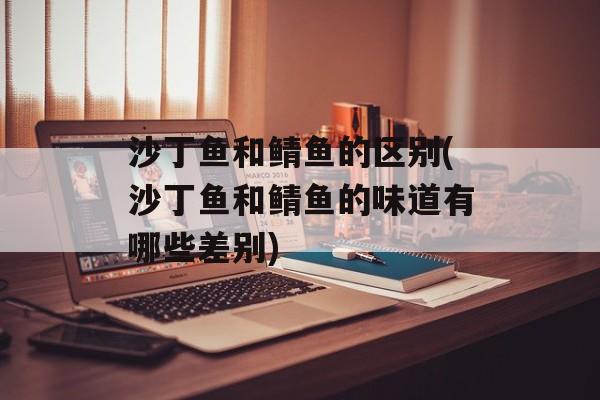 沙丁鱼和鲭鱼的区别(沙丁鱼和鲭鱼的味道有哪些差别)-第1张图片-