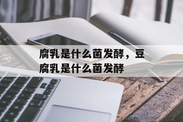 腐乳是什么菌发酵，豆腐乳是什么菌发酵-第1张图片-