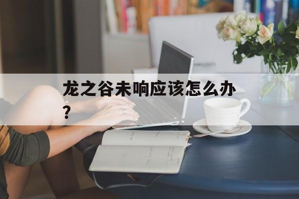 龙之谷未响应该怎么办?-第1张图片- 龙之谷未响应该怎么办?-第1张图片-